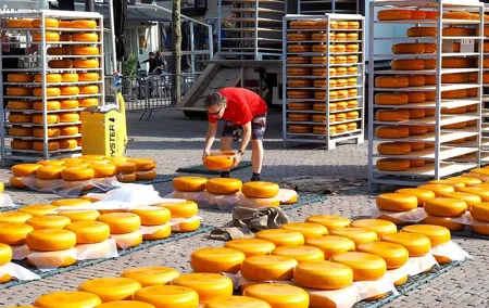 Tour to the Alkmaar Cheese market and Windmills from Amsterdam