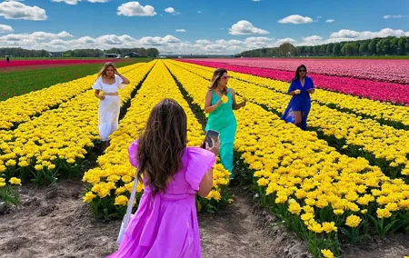 Amsterdam: Tulip Fields Day Tour with Lunch and a Windmill Visit