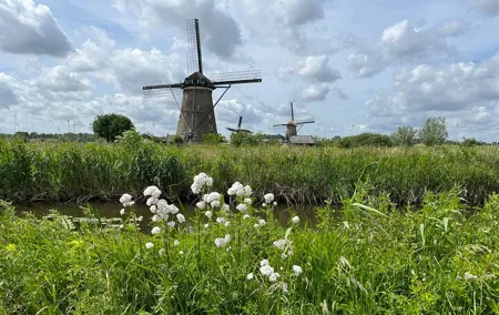 Kinderdijk Windmills, Delft City & Delft Blue Factory Visit