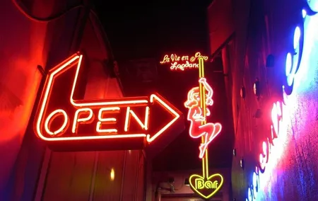 Private Amsterdam Red Light District tour including sex museum