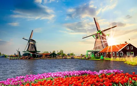 Private day trip from Amsterdam to Zaanse Schans, 3h Sightseeing