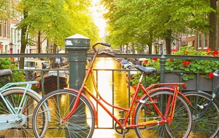 Amsterdam City Center & History - Exclusive Guided Walking Tour