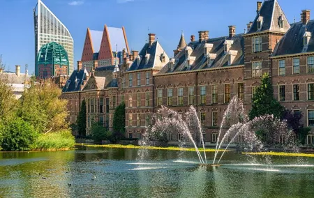 Private Day Tour: Rotterdam and The Hague. English or Spanish