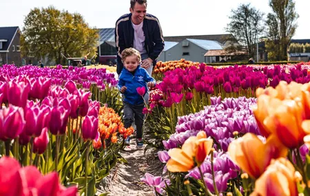 Tulip Experience and Keukenhof Flower Gardens Tour from Amsterdam