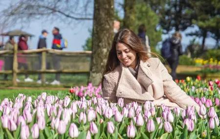 Amsterdam: Keukenhof Tulip Gardens and Giethoorn with Boat Tour