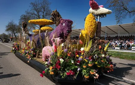 Amsterdam Tour to Flower Parade with Grandstand & Keukenhof 18-04