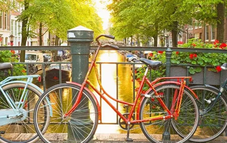 Amsterdam City Center Guided Walking Tour Semi-Private 12ppl Max