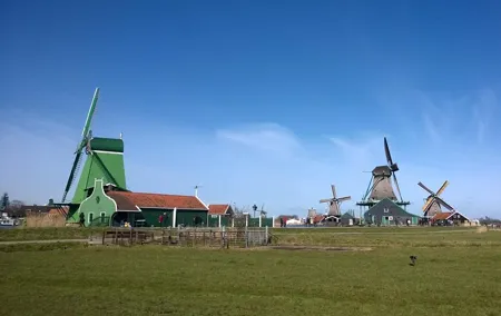 Zaanse Schans Windmills Private Tour from Amsterdam Airport