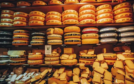Private Amsterdam Food Tour with Local