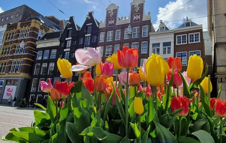Amsterdam Self Guided Walking Route of Highlights and Hidden Gems