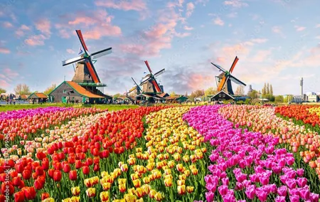 Private Countryside Tour From Amsterdam