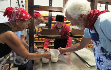 Private Farmhouse Cheesemaking Workshop