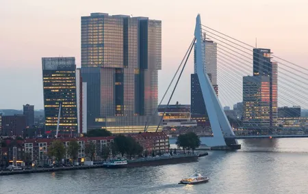 Rotterdam Grand South Holland Private Tour with The Hague & Delft