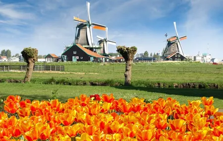 Amsterdam: Day Trip to Keukenhof & Zaanse Schans Windmills