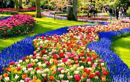 Keukenhof Skip-the-line Tickets: Countryside & Farm Private Tour