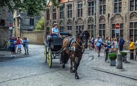 Private sightseeing roundtrip transfer to Bruges from Amsterdam