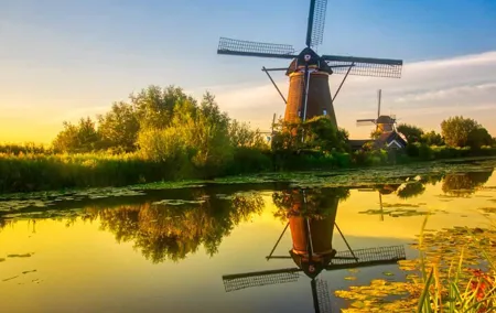 Small group tour to Kinderdijk windmills and Delft from Amsterdam