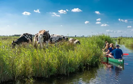 Guided Canoe Adventure with Picnic Lunch in Waterland from Amsterdam