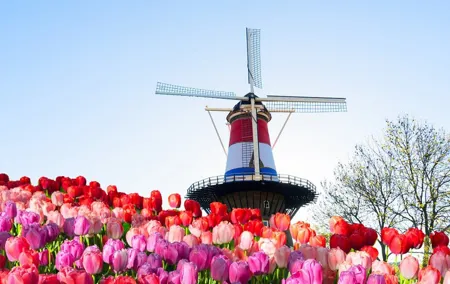Private Tour to Delft and Leiden from Amsterdam