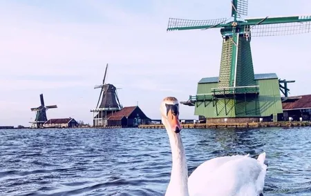 Zaanse Schans Windmills, Countyside & Fishing Villages