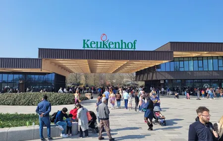 Keukenhof Tulip Gardens Private Return Transfer from Amsterdam