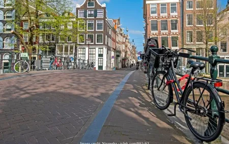 The Best of Amsterdam: Private Full-Day Tour with a Canal Cruise