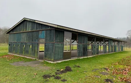 Westerbork Concentration Camp from Amsterdam - A Private Tour