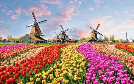 From Amsterdam: Private Tour to Zaanse Schans, Volendam & Marken