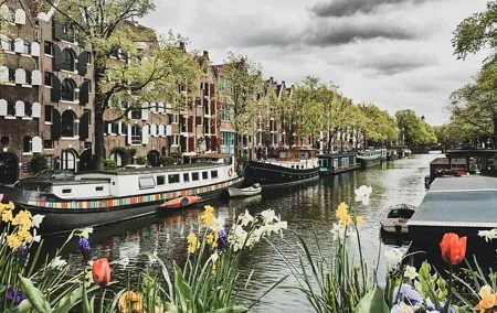 Amsterdam Must-See Historical City Walk with Local Expert