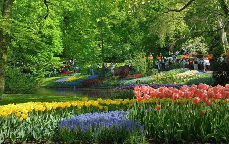Private Day Trip to the Keukenhof Gardens and Giethoorn