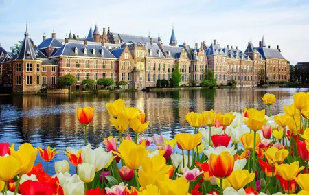 Rotterdam, Hague & Delft Private Tour from Amsterdam by Car