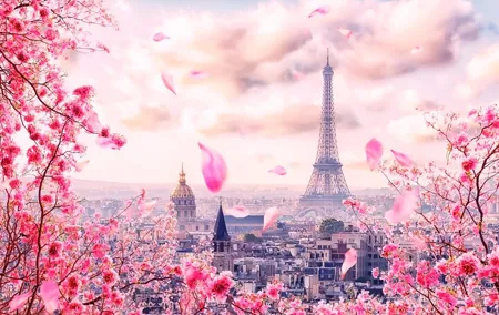 Private direct transfer from Amsterdam to Paris