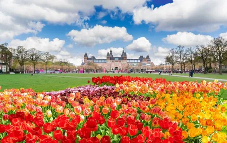 Private Tour Van Gogh & Rijksmuseum