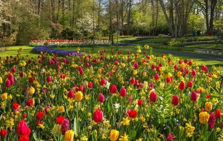 Keukenhof and Volendam from Amsterdam with Guide and Driver