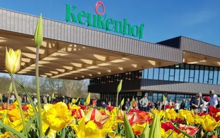 Private Day-trip to Keukenhof Gardens: Millions of Flowers in Bloom