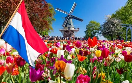 Keukenhof Tulip Fields and Bulb Area from Amsterdam