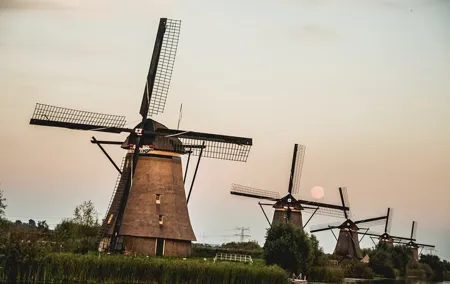 Kinderdijk, Delft and The Hague Private Tour from Amsterdam