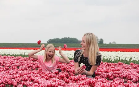 Keukenhof and Zaanse Schans Windmills Guided Tour with local