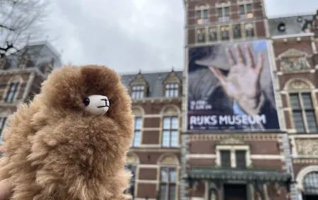 Rijksmuseum 3h Private Guided Tour & Entry Tickets