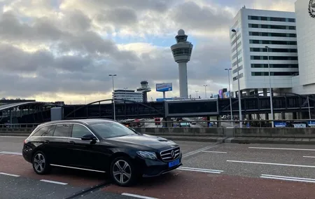 Private Tulip & Windmill Layover Tour from Schiphol Airport