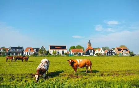 Excursion to the Dutch Countryside