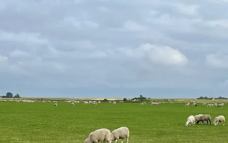 Tour in Texel