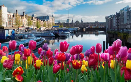 Amsterdam Audio Tour Wonders and Historic Charms Amsterdam Tour