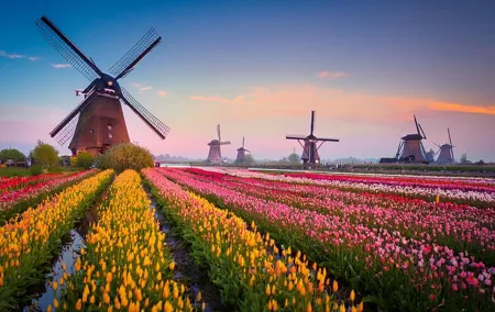 Direct private transfer from Amsterdam to Kinderdijk