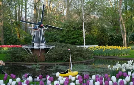 Blooming Beauty: Exploring Haven of Colors at Keukenhof Gardens