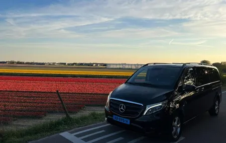 Amsterdam to Keukenhof Gardens Private Transfer by Luxury Minivan