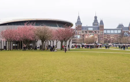 Private Tour Van Gogh Museum