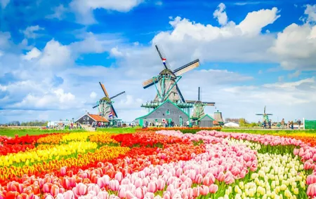 Private Tour to Zaanse Schans &Volendam: Cheese, Windmills, clogs