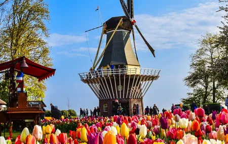 Private Tour Keukenhof Gardens + Tulperij Tulip Experience