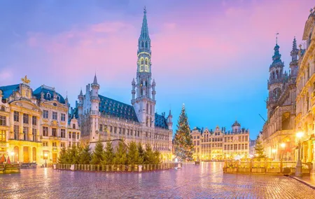 Private transfer from Amsterdam to Brussels, 2h Stop in Arnhem